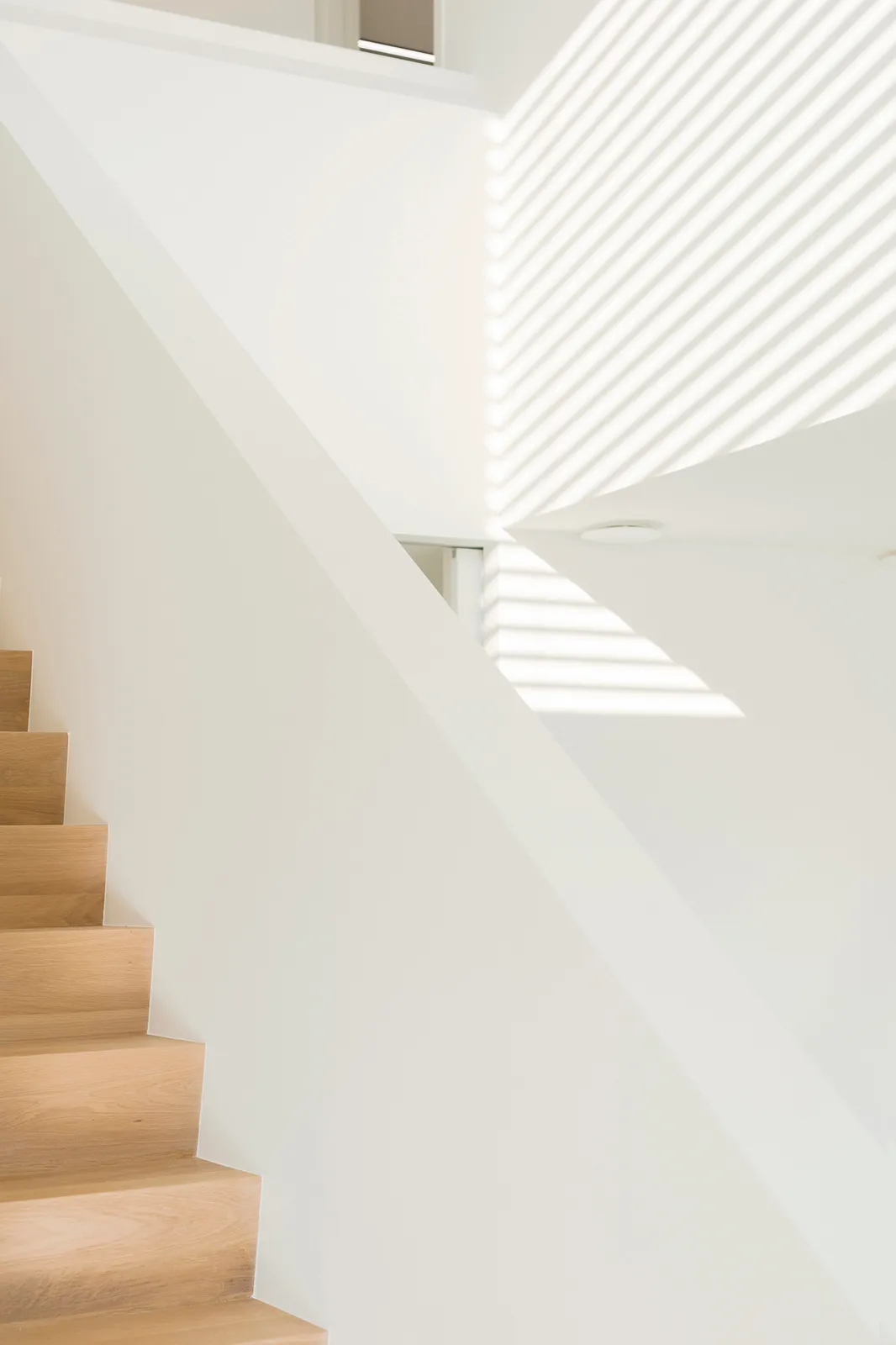 Architecture, photo 7